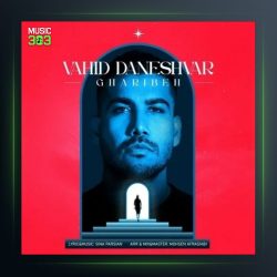 آهنگ غریبه از وحید دانشور