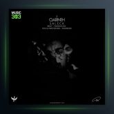 آهنگ قرینه 2 از سالک