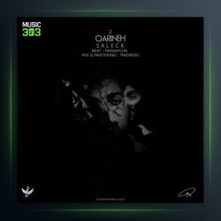آهنگ قرینه 2 از سالک