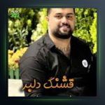 آهنگ قشنگ دلبر از بهنام حسن زاده