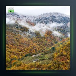 آهنگ نامرد رفیق از نیما مهدوی