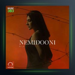 آهنگ نمیدونی از نیلا