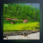 آهنگ نوری ریکا از محمد اسمعلی