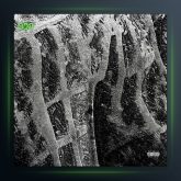 آهنگ هنوز همونم از Saye