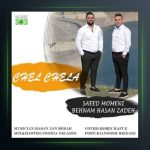 آهنگ چلچلا از بهنام حسن زاده