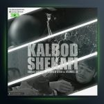 آهنگ کالبد شکافی از پویا یو استار و عرفان شایگر و یاشار