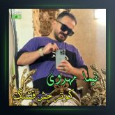 آهنگ کبوتر چشم قشنگ از نیما مهدوی