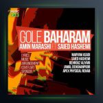 آهنگ گل بهارم از امین مرعشی و سعید هاشمی