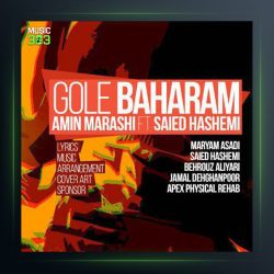 آهنگ گل بهارم از امین مرعشی و سعید هاشمی