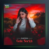 آهنگ گل سرخ از باران