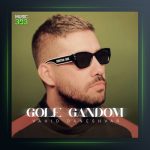 دانلود آهنگ گل گندم از وحید دانشور