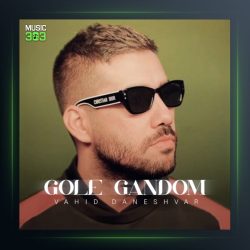 دانلود آهنگ گل گندم از وحید دانشور