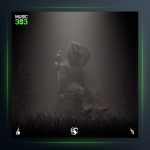 آهنگ گم از سالک