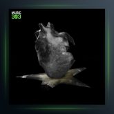 آهنگ گم کردیم از گویا