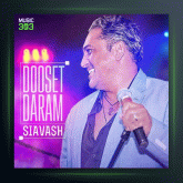 آهنگ دوست دارم از سیاوش شمس