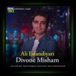 آهنگ دیوونه میشم از علی اسفندیاری
