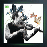 آهنگ مثنوی مخالف از پرویز یاحقی