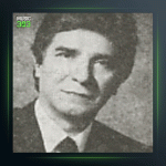 آهنگ چه مستی است از نادر گلچین