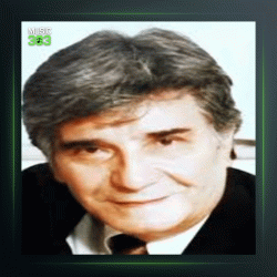 آهنگ چهار در مضراب در ضربی از نادر گلچین