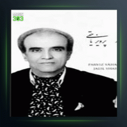 آهنگ گلهای رنگارنگ 203 بخش دوم از پرویز یاحقی و حسین قوامی