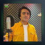 دانلود آهنگ دل سنگ از وحید حیدری