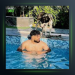 دانلود آهنگ دلخواه جان از فرشاد کلوانی