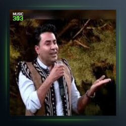 آهنگ گل نرگس از محمد امین غلامیاری