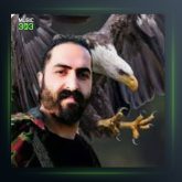 آهنگ نارو از رضا کرد