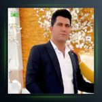 آهنگ انار انار از مهیار برومند