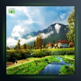 آهنگ ها دلبر از جهانبخش کرد