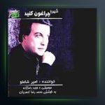 آلبوم شهرو چراغون کنید از امیر شاملو