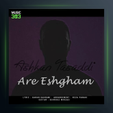 آهنگ آره عشقم از اشکان تصدی