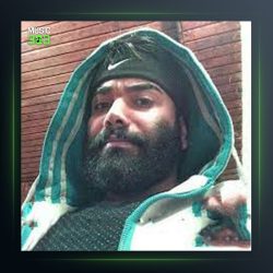 آهنگ آنلاین شب ها از بهادر ییلاقی