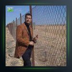 آهنگ ای دل ساده من از هادی رحیمی