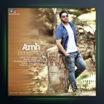 آهنگ با تو عالیه از آمین