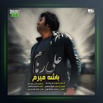 آهنگ باشه میرم از علی رهام