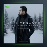 آهنگ بزار آروم باشم از امیر یگانه
