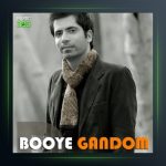 آهنگ بوی گندم از دانیال شهرتی