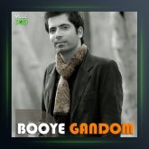 آهنگ بوی گندم از دانیال شهرتی