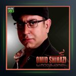 آهنگ بی مقدمه از امید شیرازی