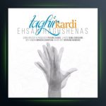 آهنگ تغییر کردی از احسان حق شناس