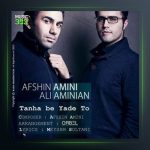 آهنگ تنها به یاد تو از افشین امینی و علی امینیان