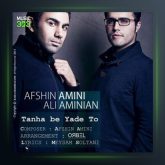 آهنگ تنها به یاد تو از افشین امینی و علی امینیان