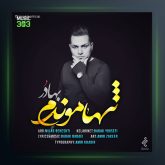 آهنگ تنها موندم از بهادر