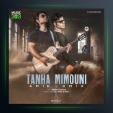 آهنگ تنها میمونی از امین و امید