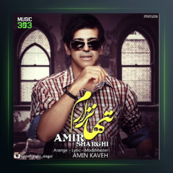 آهنگ تنها نزارم از امیر شرقی