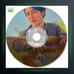 آهنگ تو سنگین دل از احسان شیدا