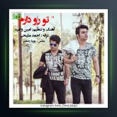 آهنگ تورو دارم از امین و امید