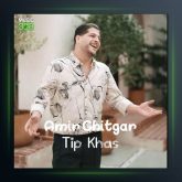 آهنگ تیپ خاص از امیر چیتگر