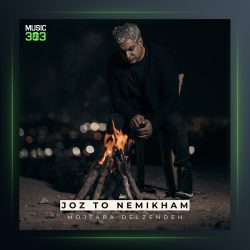 آهنگ جز تو نمیخوام از مجتبی دل زنده